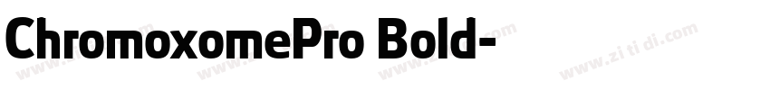 ChromoxomePro Bold字体转换